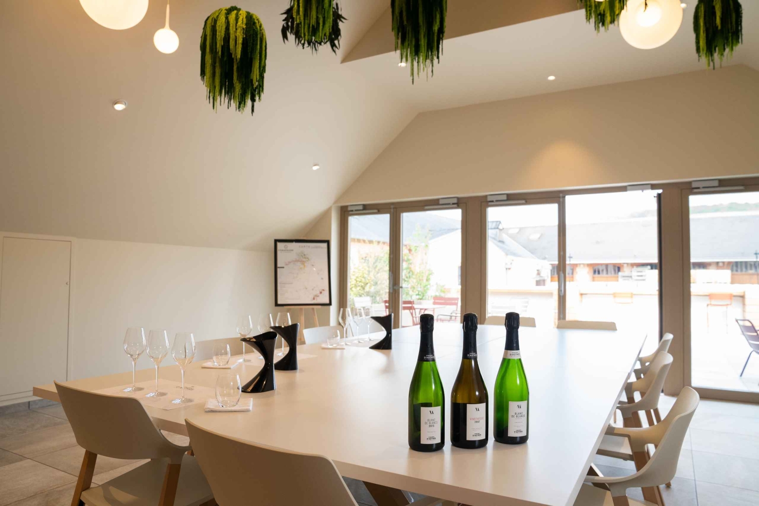 Шампанское Vincent d'Astrée: Мастер-класс по сортам винограда