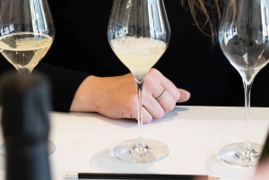 Шампанское Vincent d'Astrée: Мастер-класс по сортам винограда