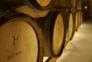 Champagne Vineyard Experience: Delve into the terroir