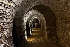 Champagne Vineyard Experience: Delve into the terroir