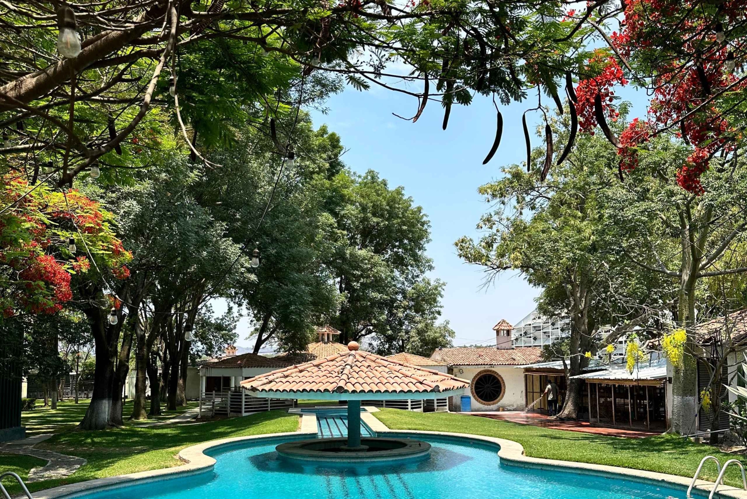 Tur till Chapala och Ajijic från Guadalajara med 3 Potrillos