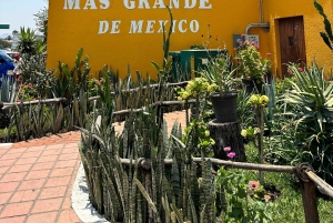 Tur till Chapala och Ajijic från Guadalajara med 3 Potrillos