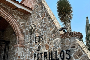 Tur till Chapala och Ajijic från Guadalajara med 3 Potrillos