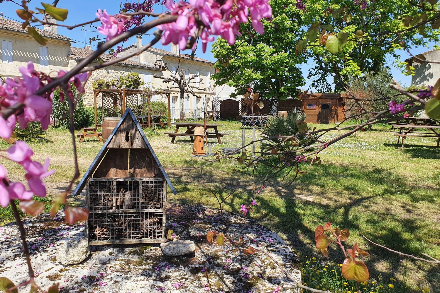 Château Champion: Picnic at the winemaker's