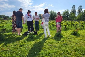 Château Champion: Picnic at the winemaker's