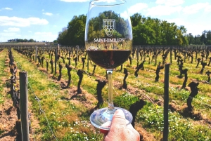 Château Champion: Prestige Tour 'Terroirs and Vintages'