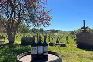 Château Champion: Prestige Tour 'Terroirs and Vintages'