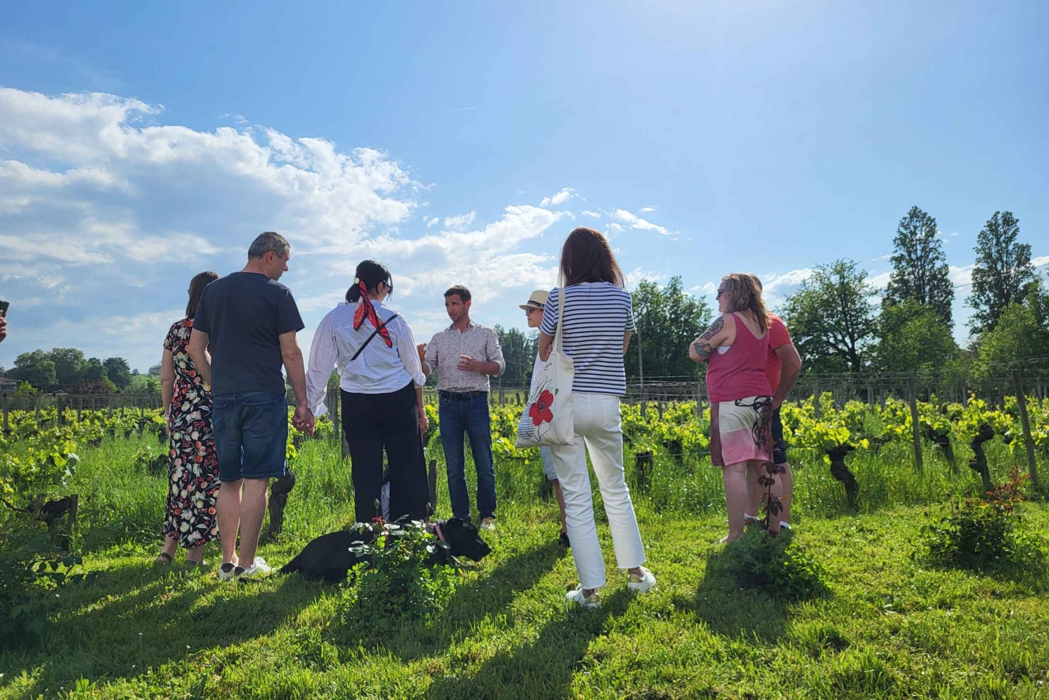 Château Champion: Tour and tasting with tapas
