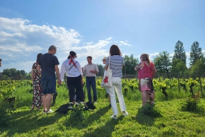 Château Champion: Tour and tasting with tapas