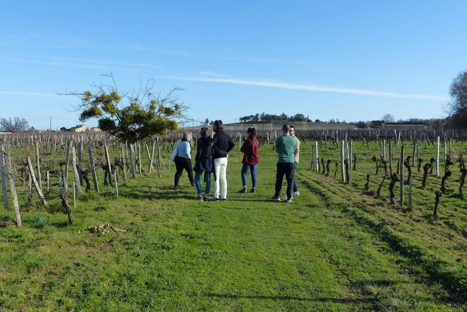 Château Champion: Vinterpromenad och mys vid eldstaden