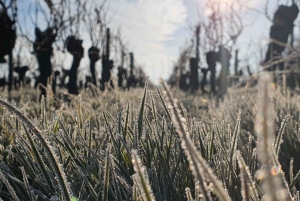 Château Champion: Vinterpromenad och mys vid eldstaden