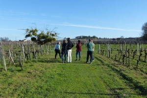 Château Champion: Vinterpromenad och mys vid eldstaden