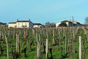 Château Champion: Vinterpromenad och mys vid eldstaden