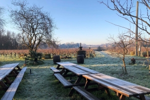 Château Champion: Vinterpromenad och mys vid eldstaden