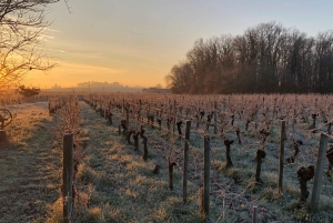 Château Champion: Vinterpromenad och mys vid eldstaden