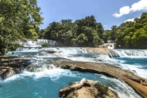 Chiapas: 4-Day Highlight Tour