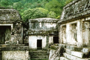 Chiapas: 4-daagse tour langs de hoogtepunten