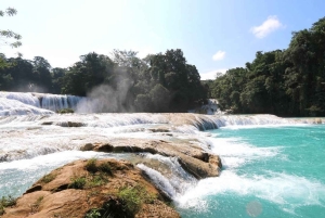 Chiapas: 4-dages højdepunkter