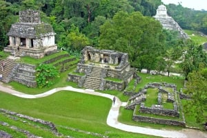 Chiapas : billet coupe-file pour le site archéologique de Palenque