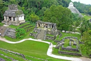 Chiapas : billet coupe-file pour le site archéologique de Palenque