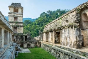 Chiapas : billet coupe-file pour le site archéologique de Palenque