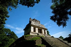 Chiapas : billet coupe-file pour le site archéologique de Palenque
