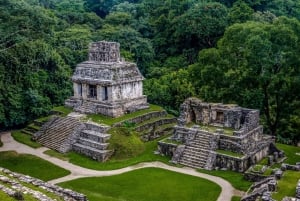 Chiapas: Palenque Archaeological Site Skip-the-Line Ticket