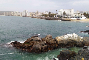 Chile: Full-Day to Viña del Mar and Valparaíso from Santiago