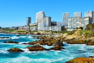 Chile: Full-Day to Viña del Mar and Valparaíso from Santiago