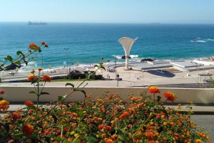 Chile: Full-Day to Viña del Mar and Valparaíso from Santiago