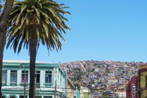 Chile: Full-Day to Viña del Mar and Valparaíso from Santiago