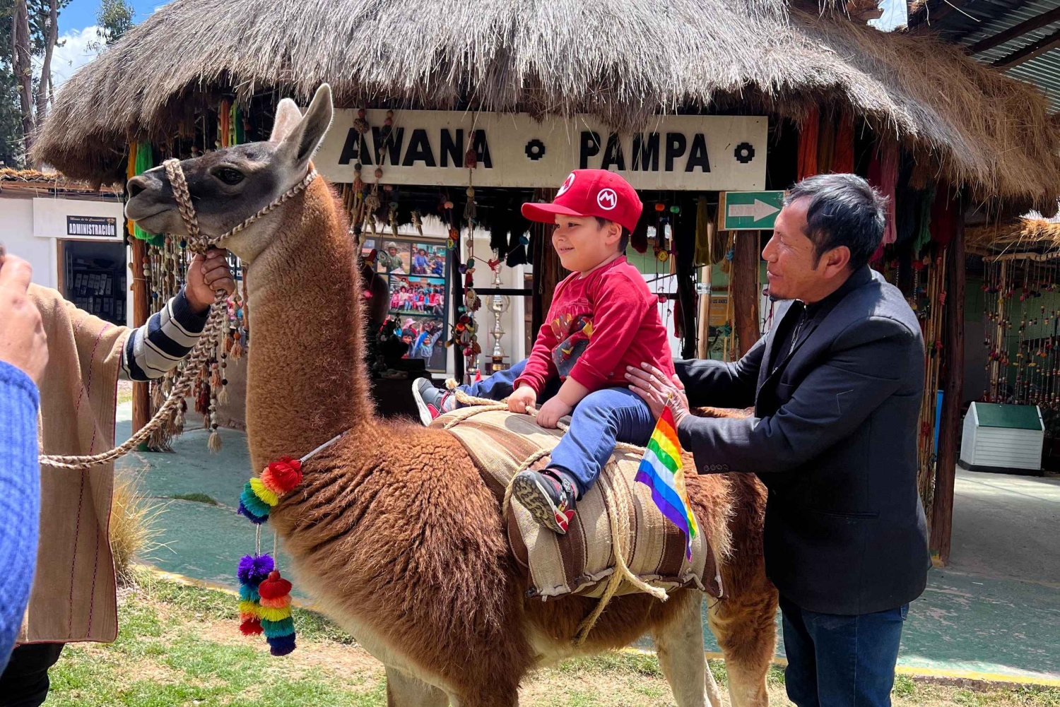 Kaupunkikierros Cusco & Camelids Tour & Pachamanca