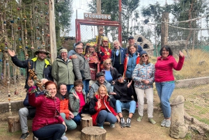 Stadtführung Cusco & Kameliden Tour & Pachamanca