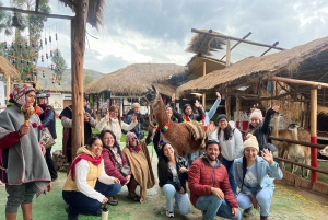 Stadtführung Cusco & Kameliden Tour & Pachamanca