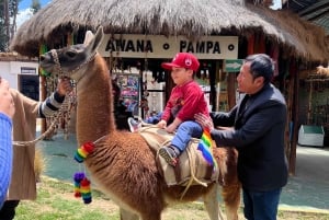 Kaupunkikierros Cusco & Camelids Tour & Pachamanca