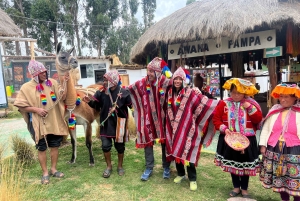 Kaupunkikierros Cusco & Camelids Tour & Pachamanca
