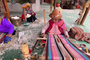 Kaupunkikierros Cusco & Camelids Tour & Pachamanca