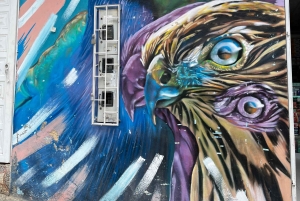 Ciudad Bolívar district by cable car, tour, and graffiti workshop