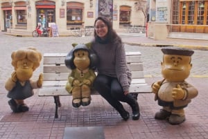 Classic guided city tour Buenos Aires with transfer