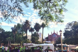 Classic guided city tour Buenos Aires with transfer