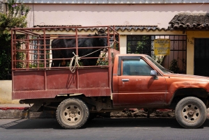 Comalapa kultur- og landbrugsoplevelse fra Antigua Guatemala