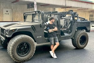 Yhdistelmä: Las Vegas Strip, autiomaa ja historia – Hummer-kierros