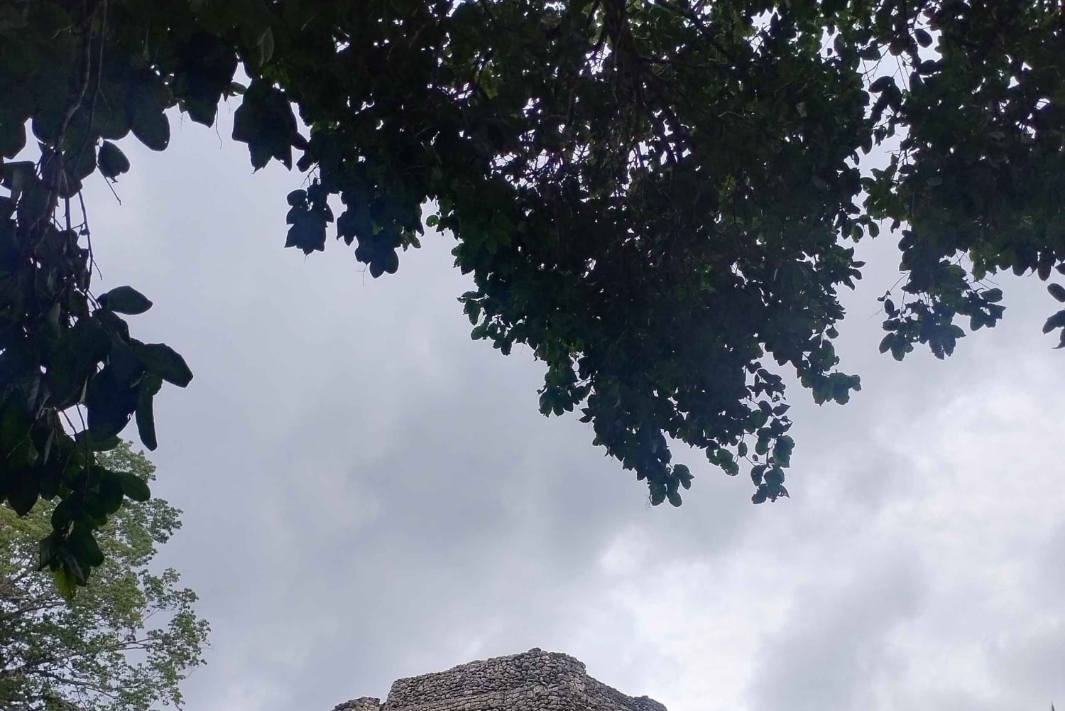 Costa Maya: Chacchoben en ananasproeverij