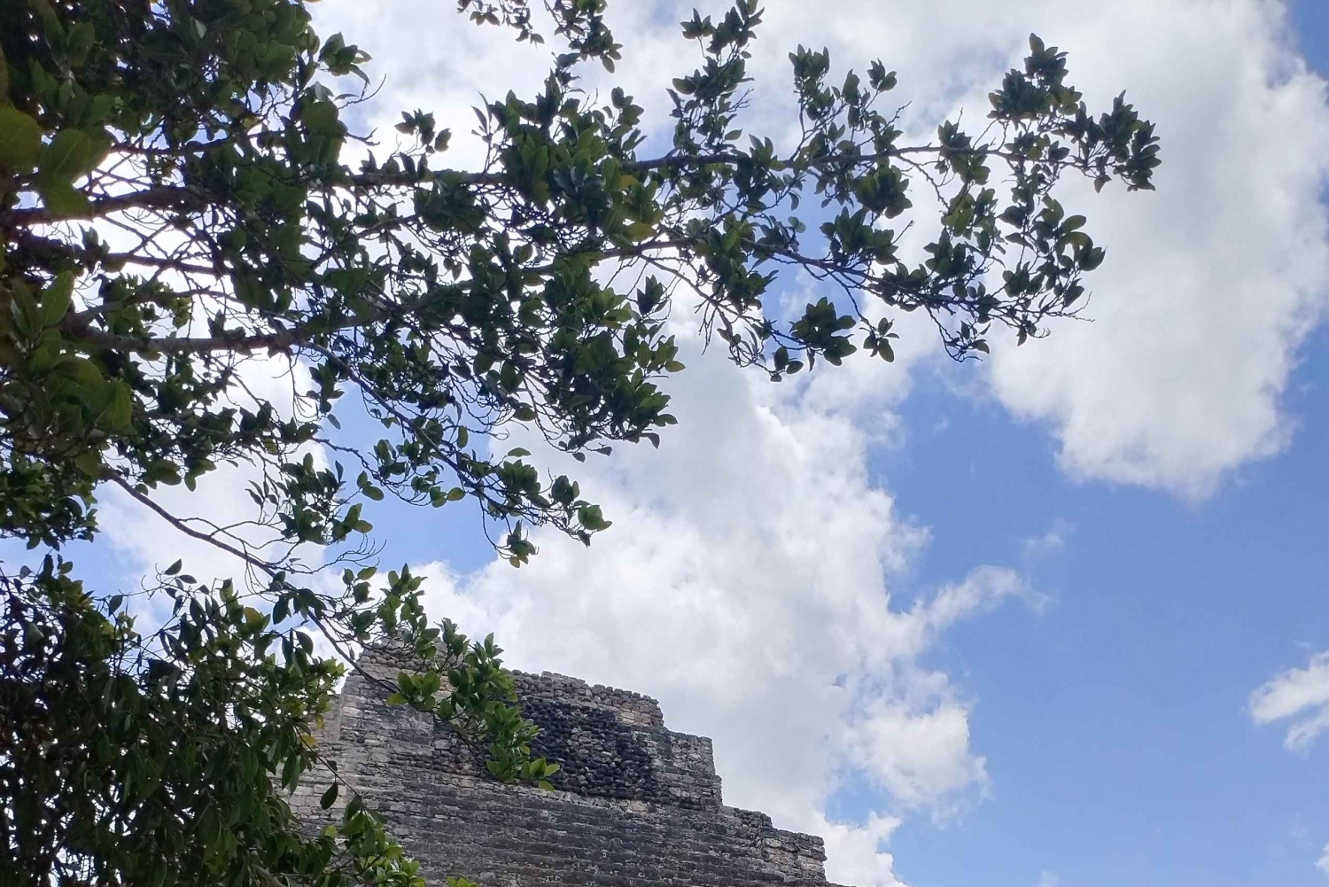 Costa Maya: Chacchoben en ananasproeverij
