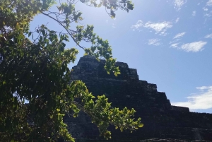 Costa Maya: Chacchoben en ananasproeverij
