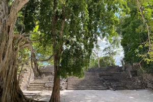 Costa Maya: Chacchoben Mayan Ruins Guided Tour