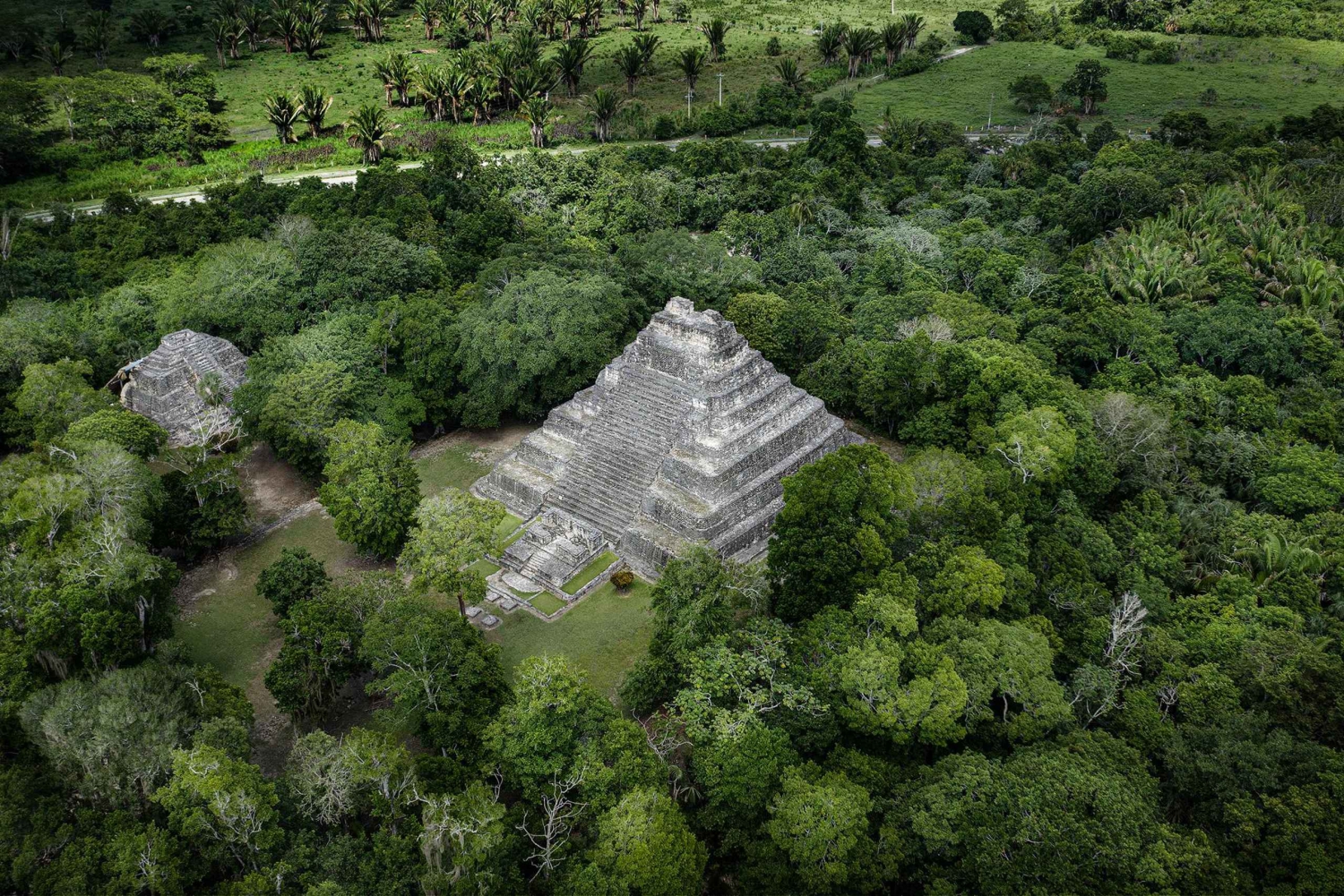 Costa Maya: Chacchoben Maya Ruinen Privater Kreuzfahrtausflug