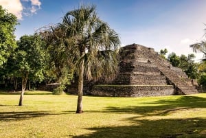 Costa Maya: Chacchoben Mayan Ruins Private Cruise Excursion