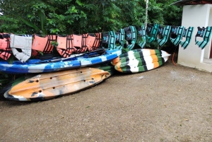 Costa Maya: Chacchoben Ruin, 7 Colors Lagoon Shore Excursion