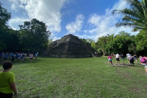 Visite privative du port de Costa Maya : ruines de Chacchoben et boîte de nuit